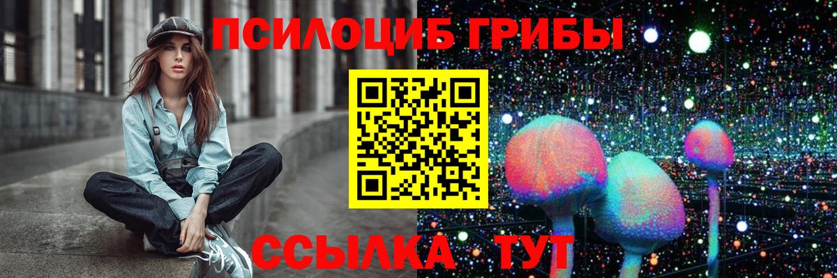 Галлюциногенные грибы Psilocybe Кувандык