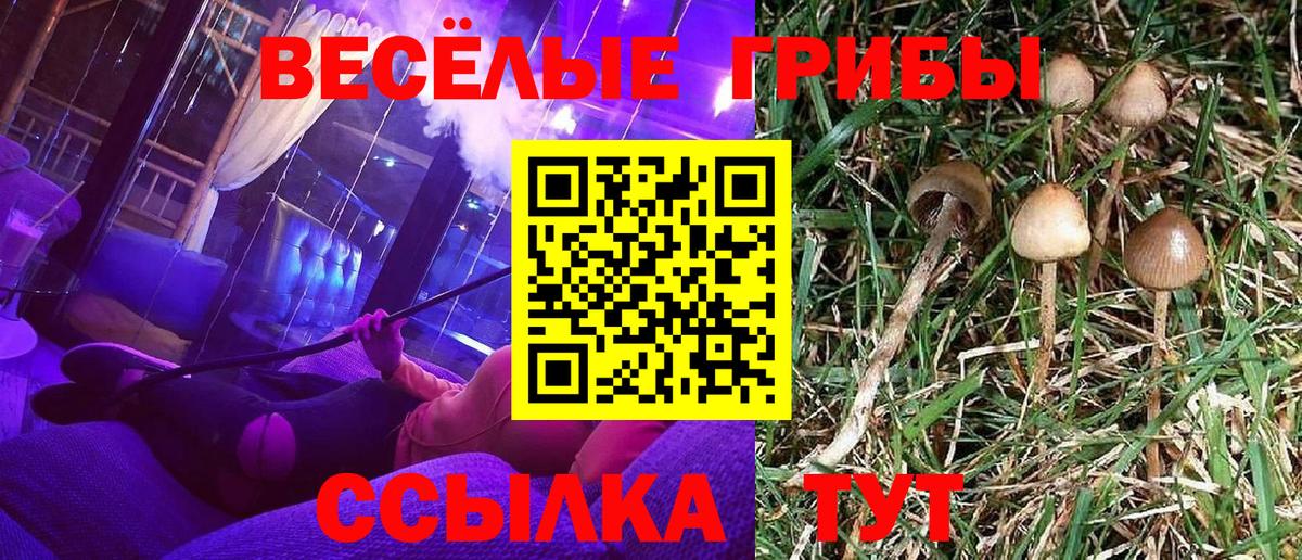 МЕФ Кувандык