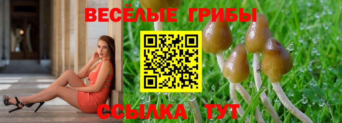 Галлюциногенные грибы ЛСД  Вход с VPN  Кувандык 
