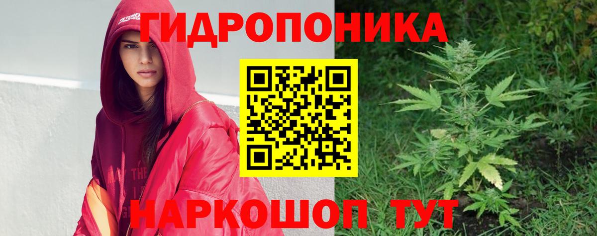 Каннабис OG Kush Кувандык